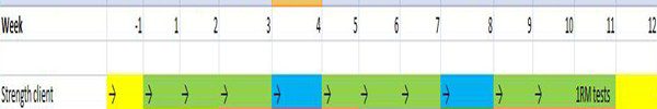 strength-1 Periodization Workouts | thePTDC | Periodized Training Program