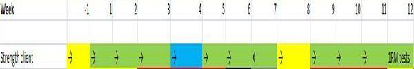 Strength Periodization Template | thePTDC | Periodization Chart
