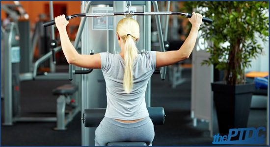 whole body exercises | thePTDC | full body vs split workouts