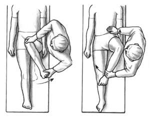 Hip Rotation Diagram | thePTDC | Hip Flexibility Exercises