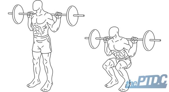 assessing proper squat form | thePTDC | guide on how to squat