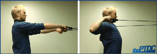 Face Pulls