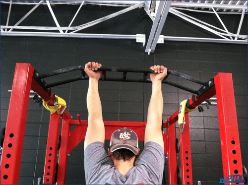 How to do Proper Pull Ups | thePTDC | Supinated chin up