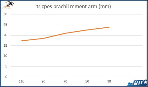 How to improve muscle strength | thePTDC | What determines muscles strength