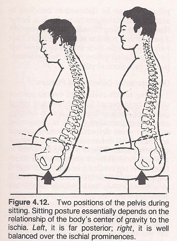 hip hinge exercise | thePTDC | exercises for the hips