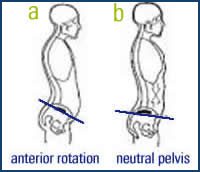 hip flexor stretches