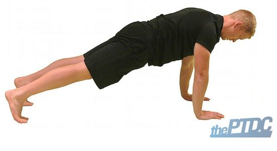 5_12-pic 2 plank
