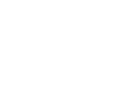 Online-Trainer-Academy_logo