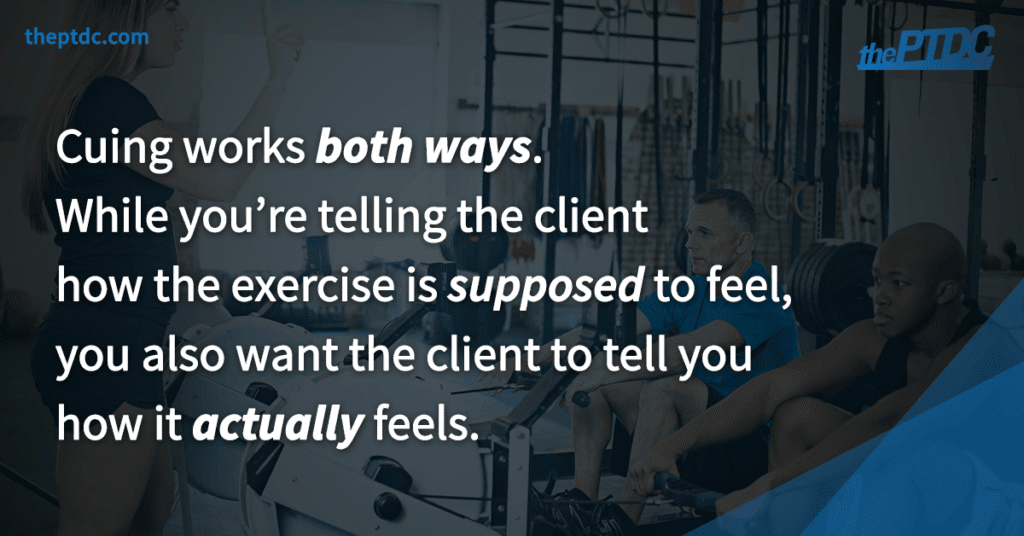 cuing-works-both-ways-period-while-you-are-telling-the-client-how-the-exercise-is-supposed-to-feel-you-also-want-the-client-to-tell-you-how-it-actually-feels
