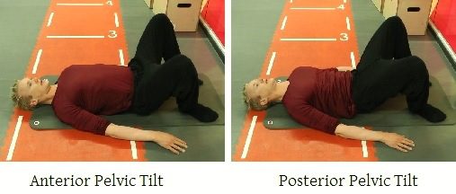 man-demonstrating-lying-pelvic-tilt